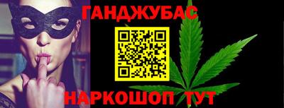 амф Гатчина