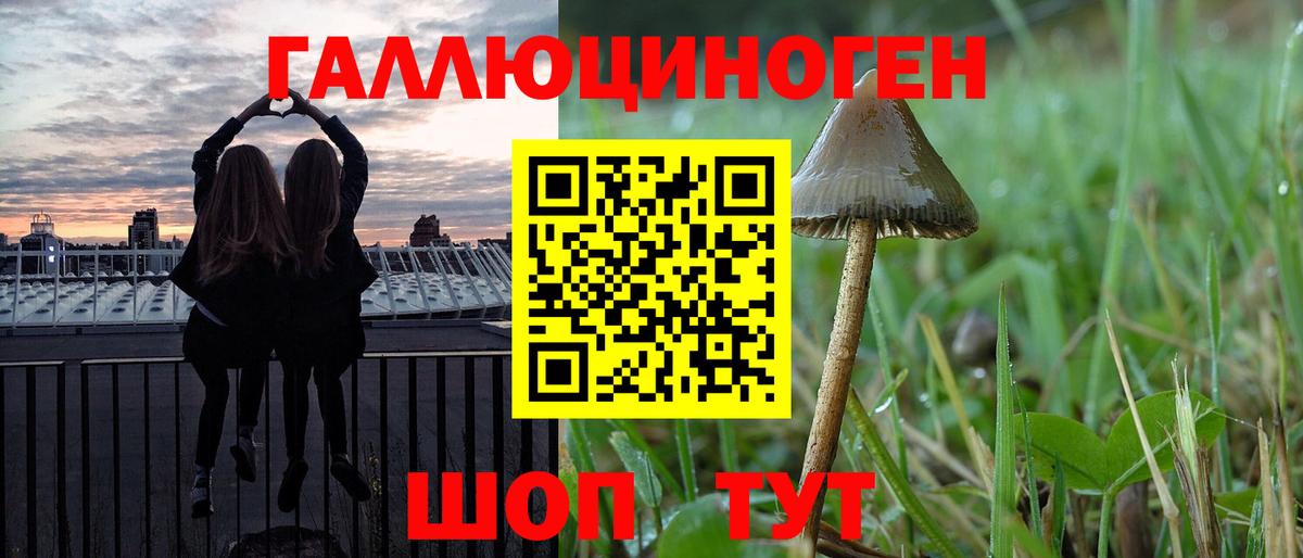 Псилоцибиновые грибы Psilocybe  Вход с VPN  Нефтекумск 